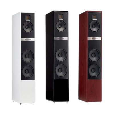 Martin Logan Motion 40i 392632 фото